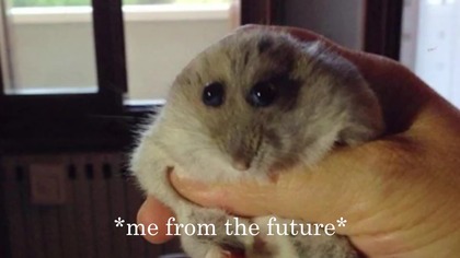 Czym dłużej trwa film - tym GORZEJ się robi...  Get a midnight snack without mom knowing 