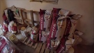 Niecodzienne obowiązki - Szukamy oszczędności - pasza dla tuczników/Kula
