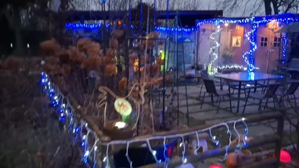 Kolędowanie w Garden kuRaż * 26. 12. 2025