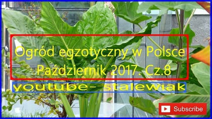 #310. Cz. 8 Jesień. Ogród egzotyczny w Polsce Październik 2017.
