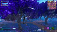Fortnite 2024 12 04 Likwidacja DVR