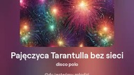 2024.07.05 - 9b2 - Pajęczyca Tarantulla bez sieci - disco polo - tekst Ewa Lipka, śpiew i muzyka SI/
