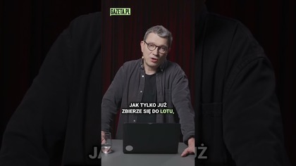 Sikorski nadzieją Platformy? Sam sobie w kolano strzela