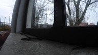 ASMR: bird singing, end of winter, Poland