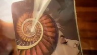 #youtubeshorts #wrozka #tarot #tarotcards