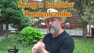prosienicznik movie