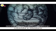 Światło jest językiem życia