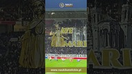 Mecz we Francji Ave Maria
