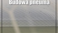 Świdnik: Treningi pod zadaszeniem