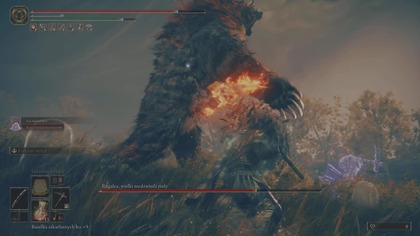 ELDEN RING Shadow of the Eldtree - Boss : Regulea Wielki Niedźwiedź Rudy