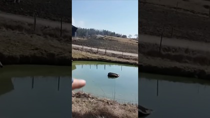 Sandacze i nowa kwatera od FishingTour #wędkarstwo