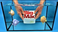 Opening Big Mac in the water I Experiment