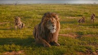 Mufasa: Król Lew (2024) 4K - Mufasa uratował Eshe