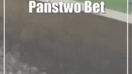 Państwo Betonowscy i Cementowscy.  Ptasi celebryci z Chełma