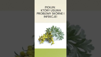 Piołun: Ciepło, Które Usuwa Problemy Skórne i Infekcje!