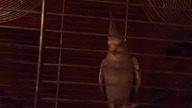 szczekająca papuga, gadająca, barking parrot