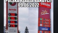 Wybory 2023
