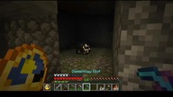 I thought it would take a while longer #game #minecraft #gaming #Short #Shorts #respawn #Zombie