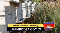 Kambodża - Pszczelarstwo w Kambodży (odc.  79)