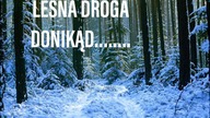 Mieroszów/Łączna - LEŚNA DROGA DONIKĄD..........