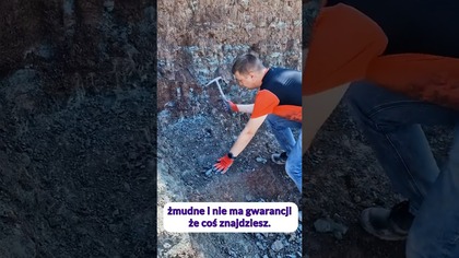 Chcesz poczuć się jak paleontolog? #paleontologia