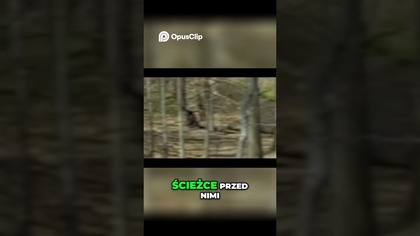 Przerażające odkrycie w lesie! Ucieczka w panice!