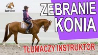 Zebranie konia