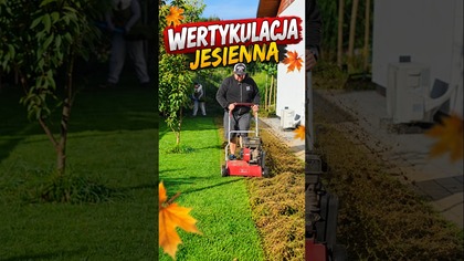 Tyle filcu było w naszym trawniku!  Jesienna wertykulacja #wertykulacja #trawnik #jesień #ogród