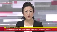 60 / Up to 60 cm tsunami observed on Hachijojima Island (09. 10. 2023)