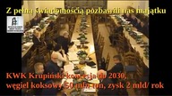 Z pełną świadomością pozbawili nas majątku Krupiński koncesja  2030 węgiel 50 mln ton zysk 2mld/rok