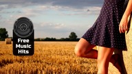 Cattle  Telecasted |  Free Music