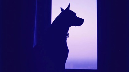  Isle of Music  Its Empty Without You (Deep House 2025)