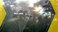 TRVL - 11-01-2020 - Reklama