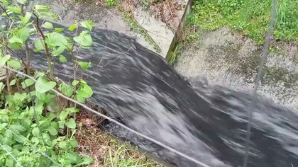 Ścieki wpuszczone do Wąwolnicy - mieszkańcy Jelenia alarmują