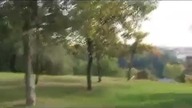 Kara dla właściciela psa 2