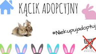 Kącik adopcyjny #1 Anarchia i maluchy