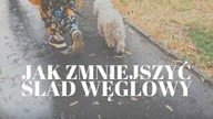 32 POMYSŁY NA ZMNIEJSZENIE ŚLADU WĘGLOWEGO #GLOBALNEOCIEPLENIE