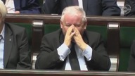 stonoga vs sejm