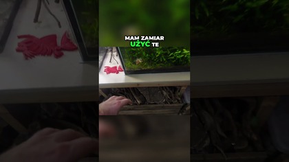 Prosta aranżacja dla początkującego.