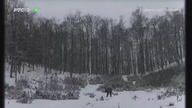 Spojrzenie w słońce 1966 nap.