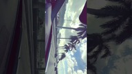 #miami drive