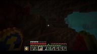 I had to go to the Nether to get a bone from a skeleton #minecraft #game #gaming #games #Short