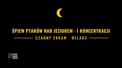 Śpiew Ptaków nad Jeziorem · Do Snu i Koncentracji