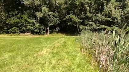 Upalny dzień nad wodą - Gracjan Roztocki
