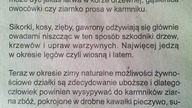 55 Dokarmianie ptaków zimą