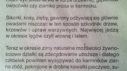 55 Dokarmianie ptaków zimą