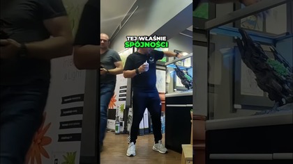 Naturalne Mchy Jak Stworzyć Idealne Światło i Cień