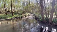 Wypływ I