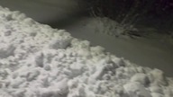 Cisza, śnieg i noc 