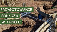 PRZYGOTOWANIE PODŁOŻA W TUNELU POD POMIDORY / CZOSNEK Z SADZONEK